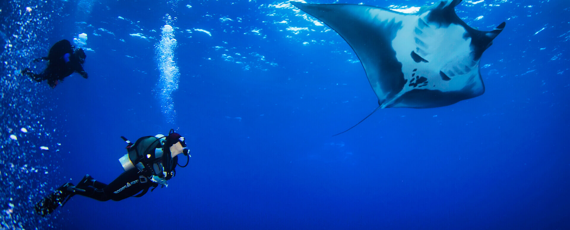 Fly First Class, Land Refreshed